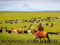MORNINGSTAR FAMILY RANCH