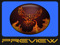 Phoenix-Firestorm Preview Group Phoenix-Firestorm Preview Group