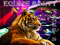 Party - Tiger's House Party - Tiger's House