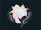 [Floro]