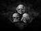 +Unholy Souls Coven+