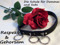Schule fuer Domme und Sub Schule fuer Domme und Sub