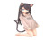 My Wishlist & MP Gachas My Wishlist & MP Gachas