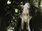 ☽○☾Sluagh na Sidhe ~ A Dark RP~ ☽○☾Sluagh na Sidhe ~ A Dark RP~