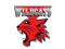 East High Wildcats! East High Wildcats!