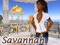 3 - Savannah 3 - Savannah