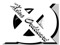 *XO*