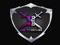 = HONOR Pro Wrestling = = HONOR Pro Wrestling =