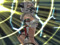 ☛ № ♡ Aileen La Hermana Viciosa ♡