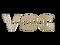 VSG CORP VSG CORP