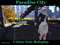 Paradise City Services Paradise City Services