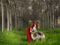 Friends of Wolfland Friends of Wolfland