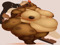 Fat and Curvy Furs~