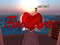 Finehearts Finehearts
