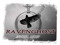 RavenGhost RavenGhost