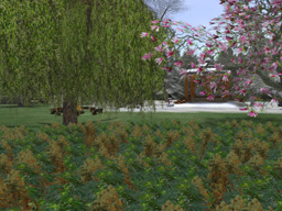 parcel image