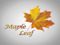 Maple Leaf Horse Club Maple Leaf Horse Club