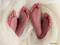 We're Expecting Twins!!!!!!!!! We're Expecting Twins!!!!!!!!!