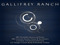 Gallifrey Ranch 