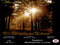 CIA.TEATRO BOHEMIO LOVE- El Bosque Del Olvido