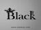 ::Black Fair Update Group::