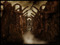 *Lost World Creative* *Lost World Creative*