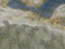 Cycnia - Sy and Shady's Land Cycnia - Sy and Shady's Land