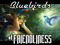 Bluebirds of Friendliness