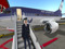 Aerolineas Lagartija