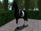 2.0 Stallion Basic