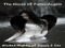 THE House of Fallen Angels