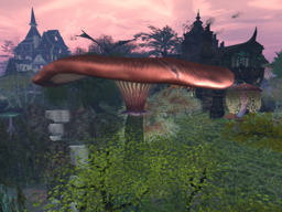 parcel image