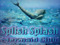 Splish Splash Mermaid Club Splish Splash Mermaid Club