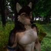 Second Life profile photo
