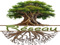 Reseau
