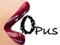 Opus Sex Furniture, Garden and Novelty Opus Sex Furniture, Garden and Novelty