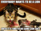 Everyone wants to be a lion Everyone wants to be a lion