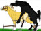 ~GAY HORSES~
