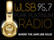 PURE PLATINUM RADIO INC PURE PLATINUM RADIO INC