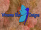 03. ~Winsome Blue Designs~