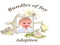 Bundles Of Joy Adoption Bundles Of Joy Adoption