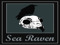 Sea Raven Pirate Fleet Sea Raven Pirate Fleet