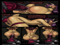 5. Fetish █►