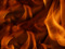 ~Fire Family~
