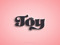 • JOY POLICIES •