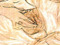 Masturbation Passion