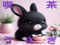 喫茶　うさぎ