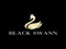 Black Swan Update Group Black Swan Update Group