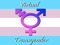 Virtual Transgender