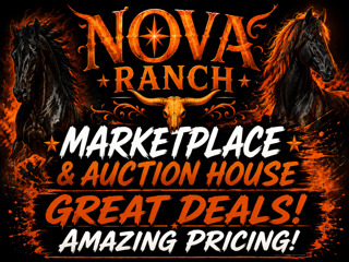 Image for Nova Ranch Marketplace & Auction House